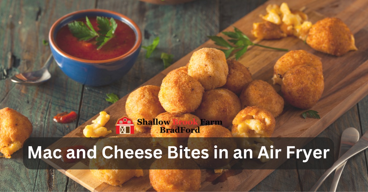 Mac and Cheese Bites in an Air Fryer