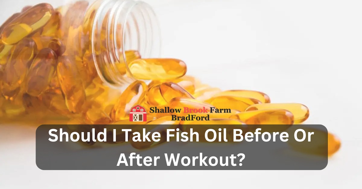 Should I Take Fish Oil Before Or After Workout?