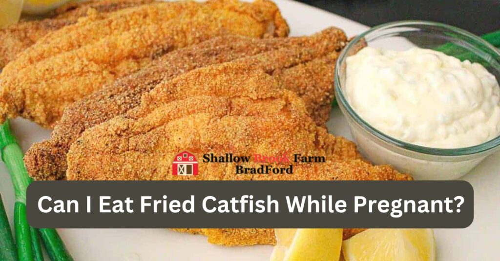 southern-catfish-nuggets-and-grits-recipe