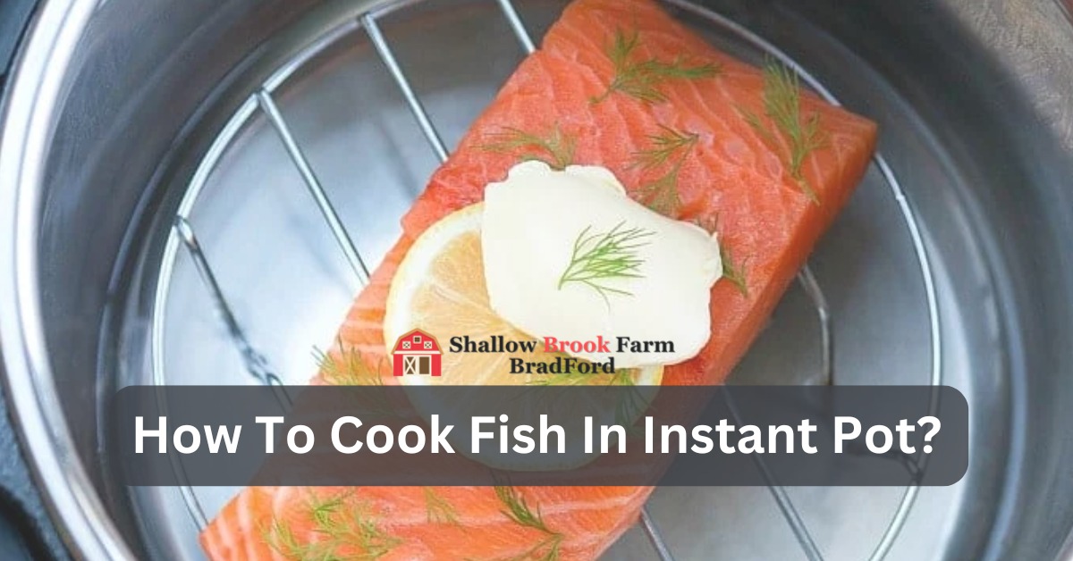 How To Cook Fish In Instant Pot?