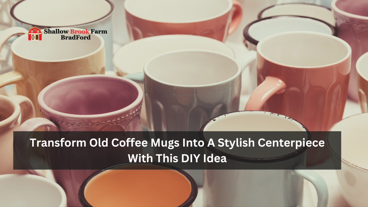 Transform Old Coffee Mugs Into A Stylish Centerpiece With This DIY Idea