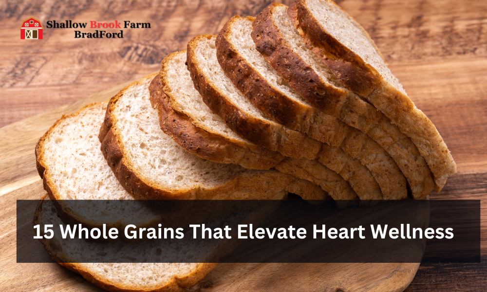 15 Whole Grains That Elevate Heart Wellness