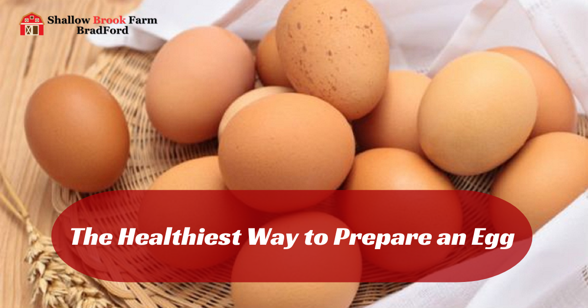 The Healthiest Way to Prepare an Egg