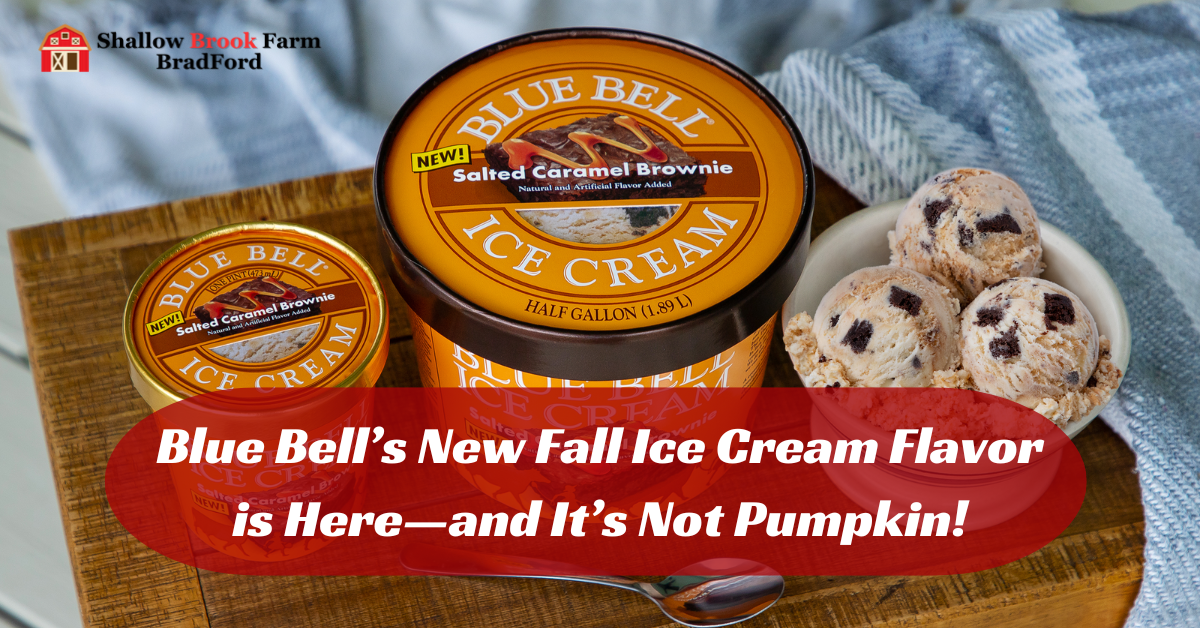 Blue Bell’s New Fall Ice Cream Flavor is Here—and It’s Not Pumpkin!